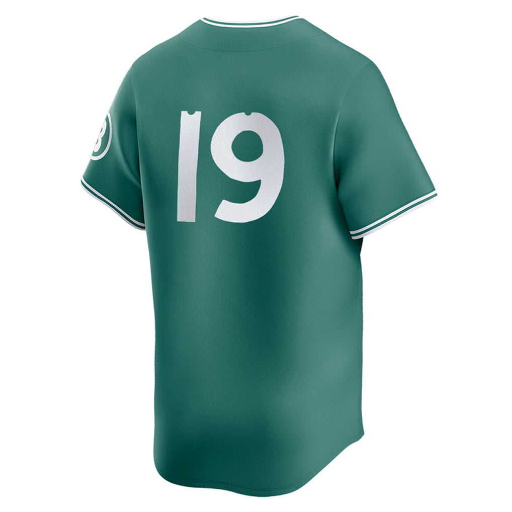 Friene B.Red Sox #19 Roman Anthony Player Green City Connect Limited Home Game Stitched Jerseys
