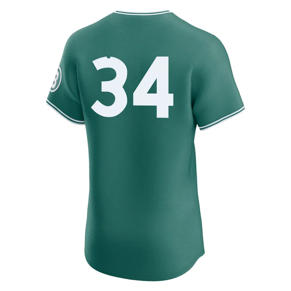 Friene B.Red Sox #34 David Ortiz Player Green City Connect Limited Elite Home Game Stitched Jerseys