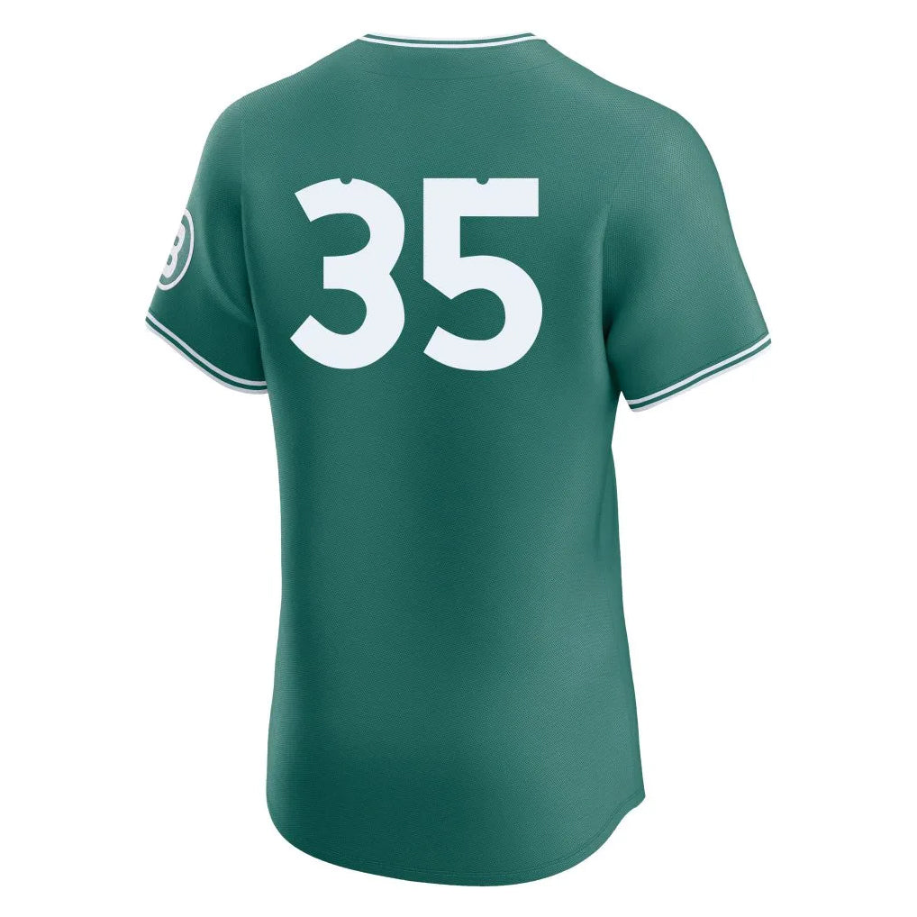 Friene B.Red Sox #35 Garrett Crochet Player Green City Connect Limited Elite Home Game Stitched Jerseys