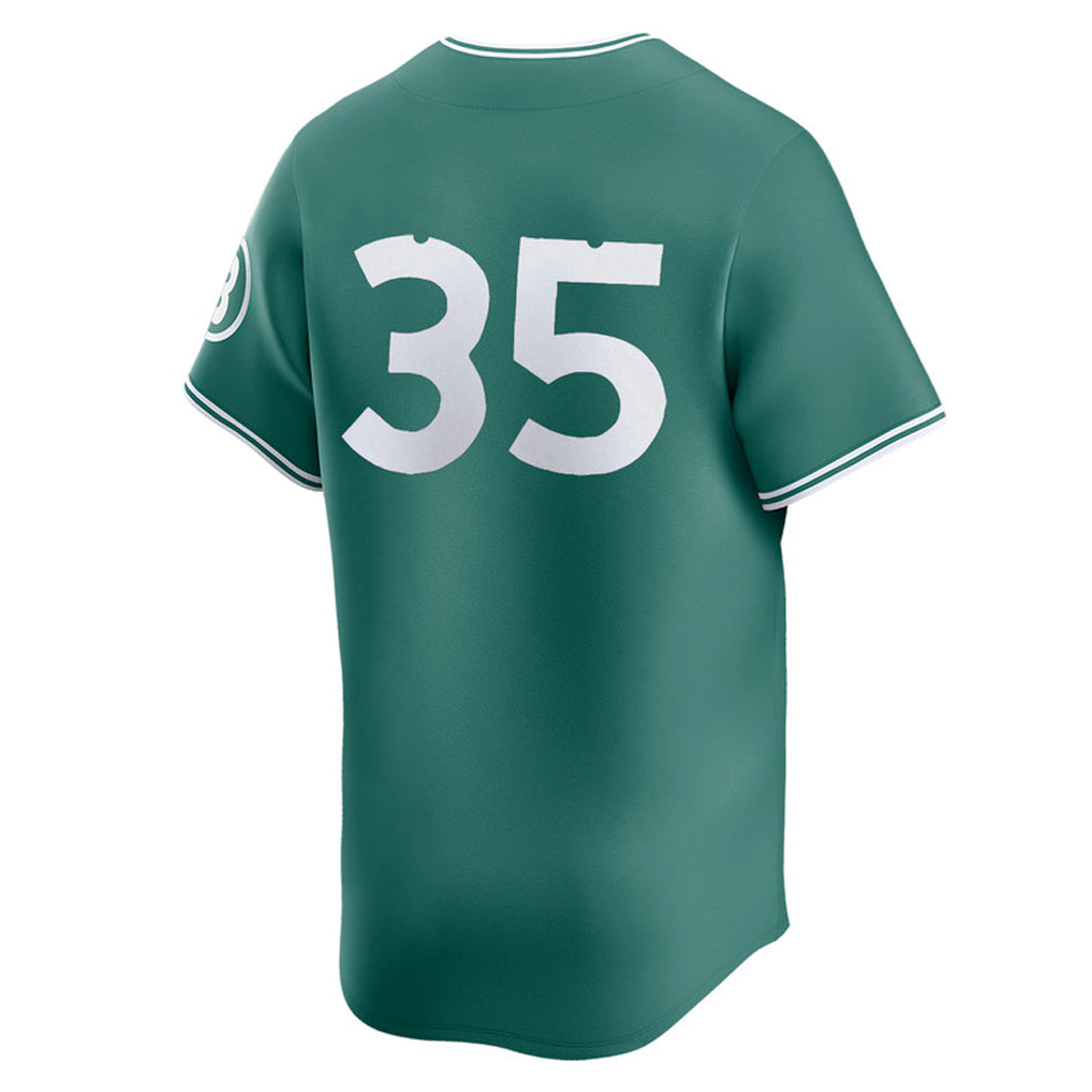 Friene B.Red Sox #35 Garrett Crochet Player Green City Connect Limited Home Game Stitched Jerseys
