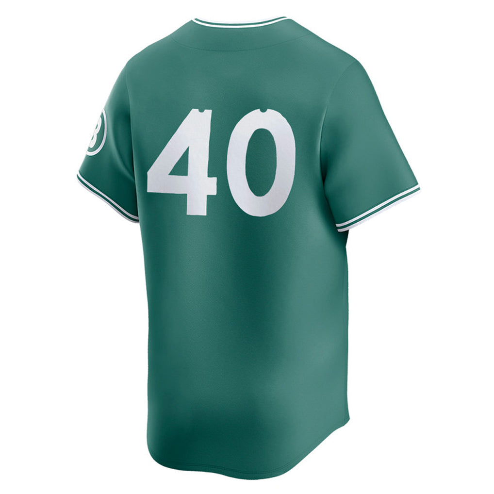 Friene B.Red Sox #40 Willson Contreras Player Green City Connect Limited Home Game Stitched Jerseys
