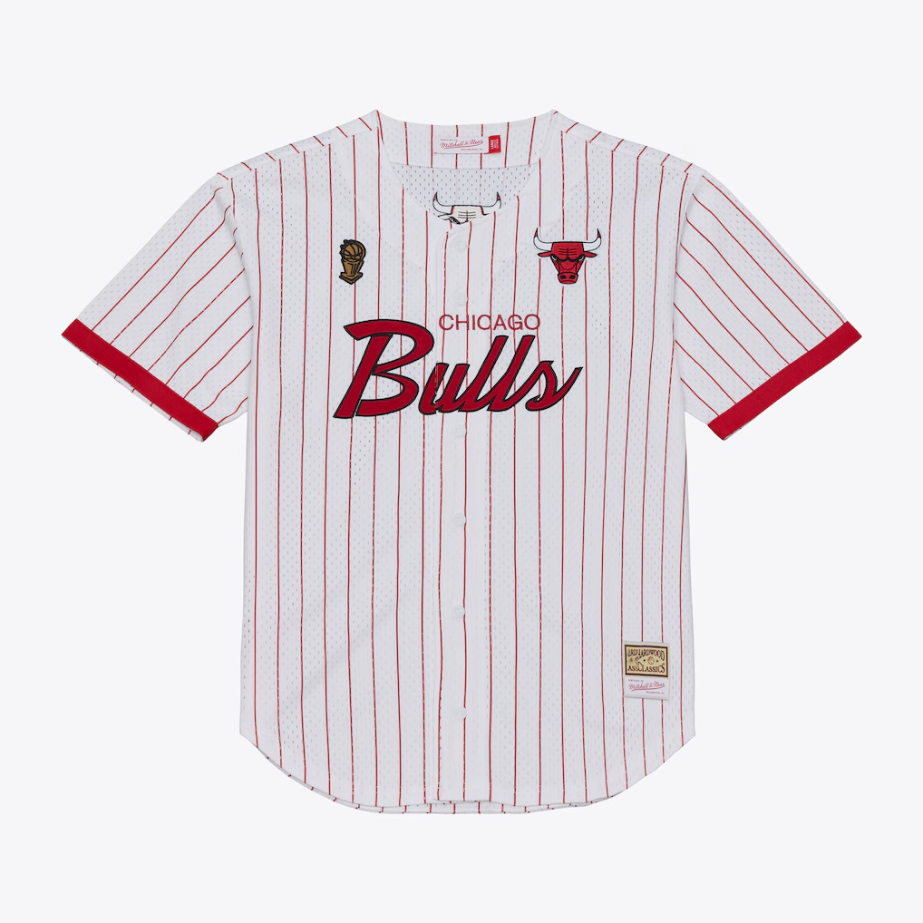 Friene C.Bulls Mitchell & Ness White Head Coach Pinstripe Mesh Full-Button Baseball Jerseys