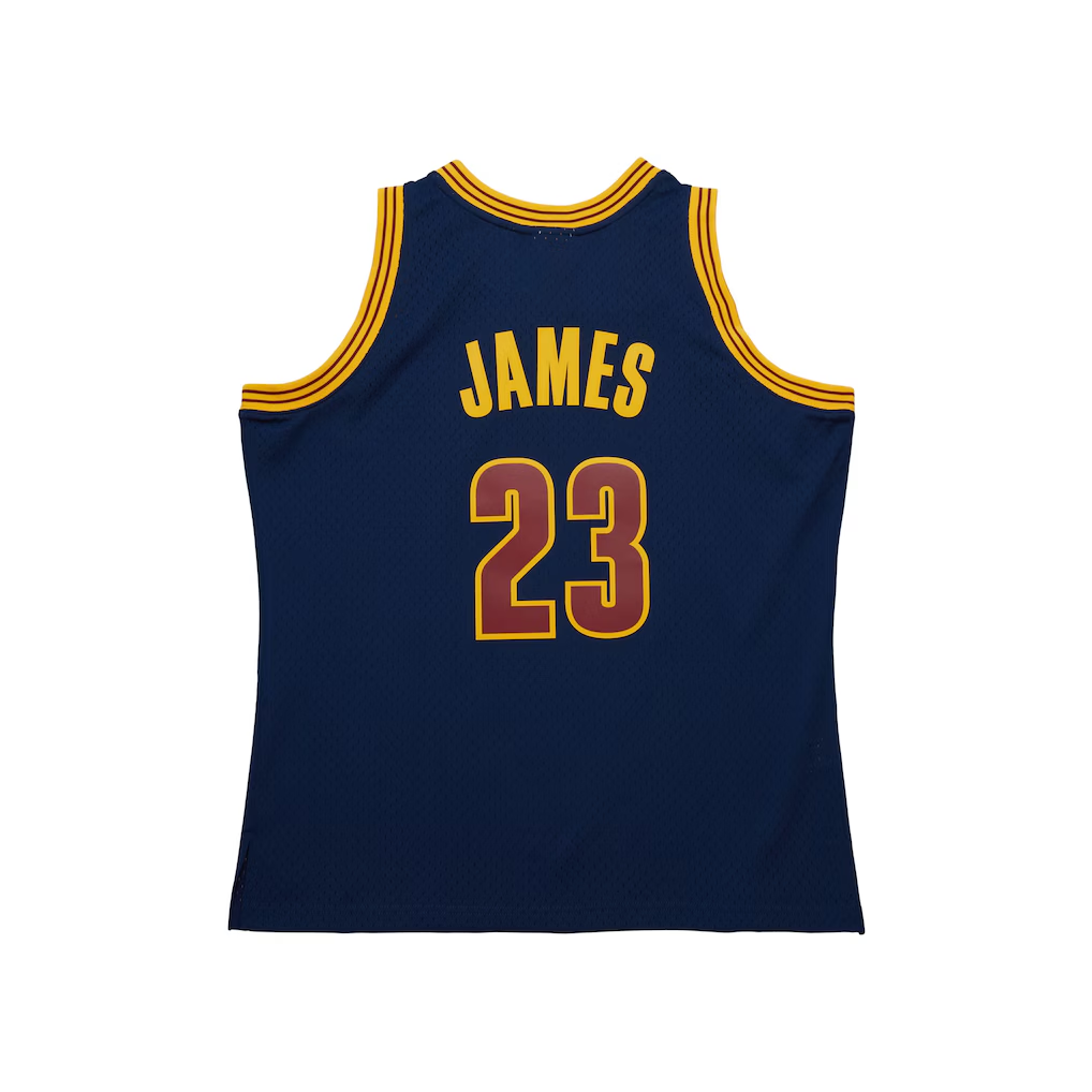 Friene C.Cavaliers #23 LeBron James Mitchell & Ness Navy Big & Tall Hardwood Classics 2008-09 Swingman Jerseys