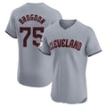 Friene C.Guardians #75 Connor Brogdon Player Gray Road Limited Elite Home Stitched Jerseys