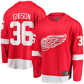Friene DR.Wings #36 John Gibson Red Home Breakaway Jerseys
