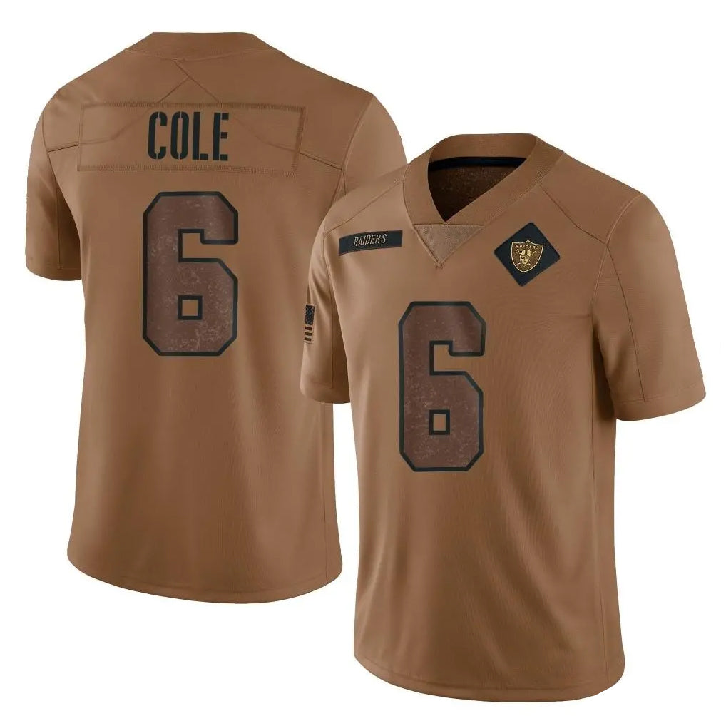Friene LV.Raiders #6 A.J. Cole Player Gray Atmosphere Fashion Limited Game Stitched Jerseys