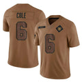 Friene LV.Raiders #6 A.J. Cole Player Gray Atmosphere Fashion Limited Game Stitched Jerseys