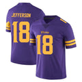 Friene M.Vikings #18 Justin Jefferson Player Purple Limited Color Rush Home Game Stitched Jerseys