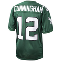 Friene P.Eagles 1992 #12 Randall Cunningham Mitchell & Ness Green Authentic Throwback Retired Player Puhic Stitched Jerseys
