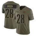 Friene W.Commanders #28 Darrell Green Player  Olive Salute To Service Limited Stitched Jerseys